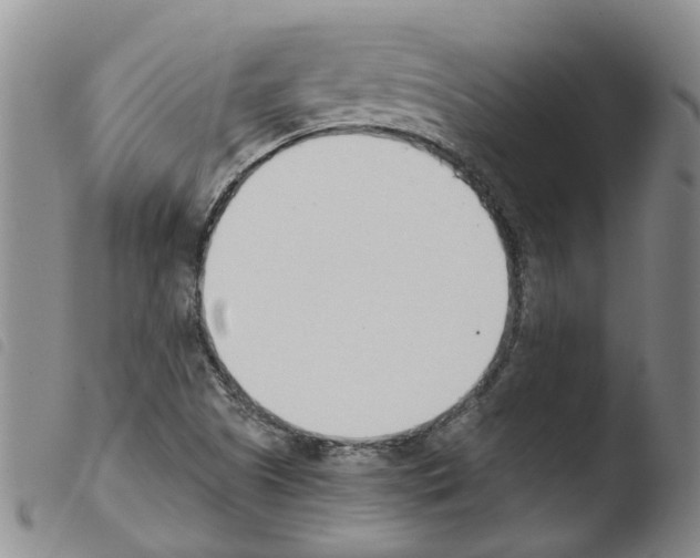 X0000103501505200810241112