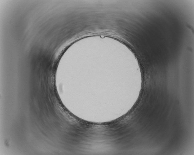 X0000103501506200810241112