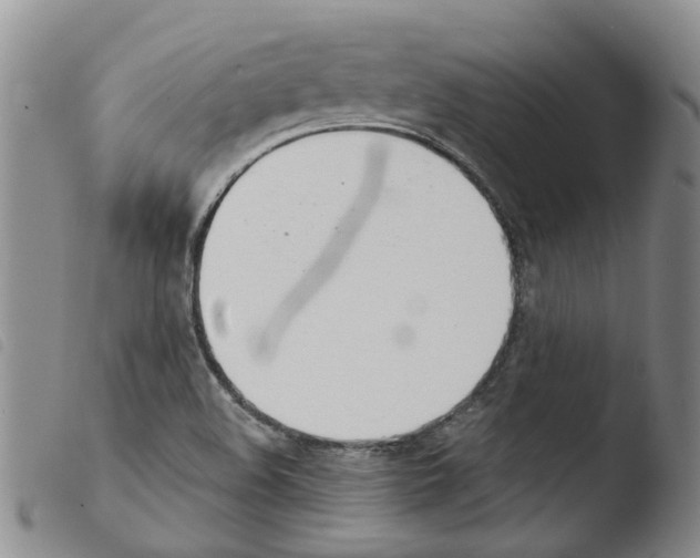 X0000103501508200810241112