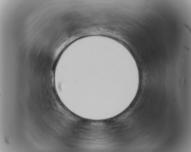 X0000103501509200810241112