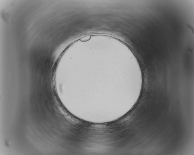 X0000103501511200810241112