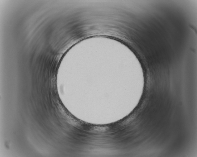 X0000103501513200810241112