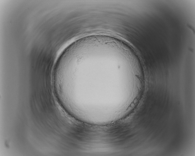 X0000103501514200810241112