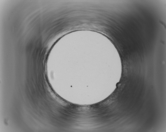 X0000103501515200810241112