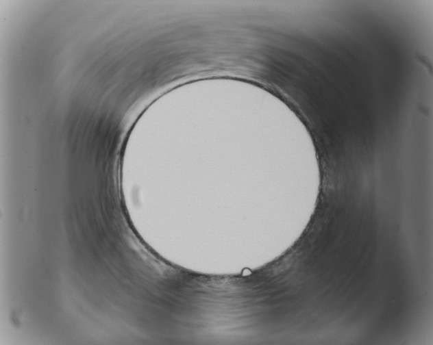 X0000103501516200810241113