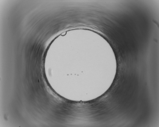 X0000103501518200810241113