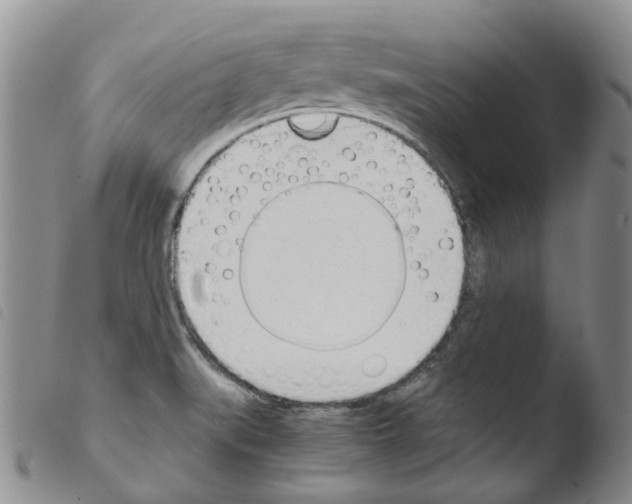 X0000103501519200810241113