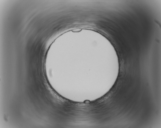 X0000103501520200810241113