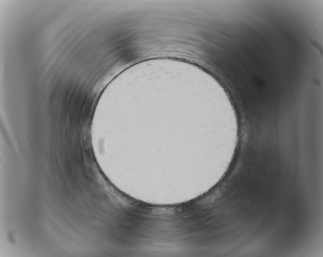 X0000103501521200810241113