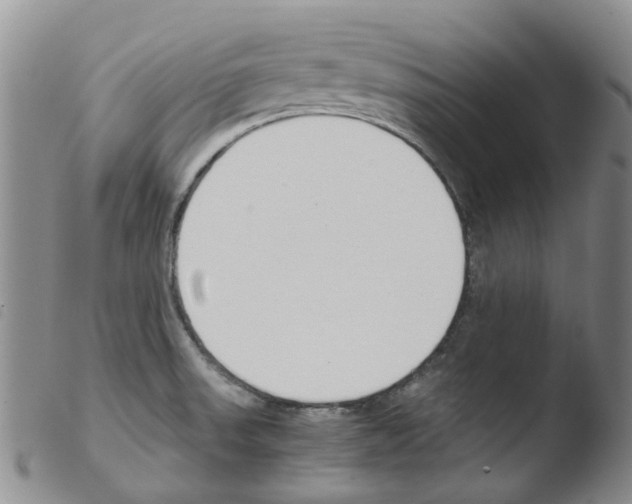 X0000103501523200810241113