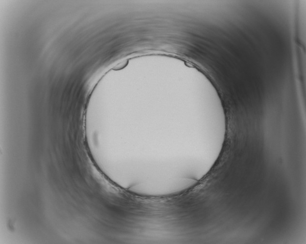 X0000103501524200810241113