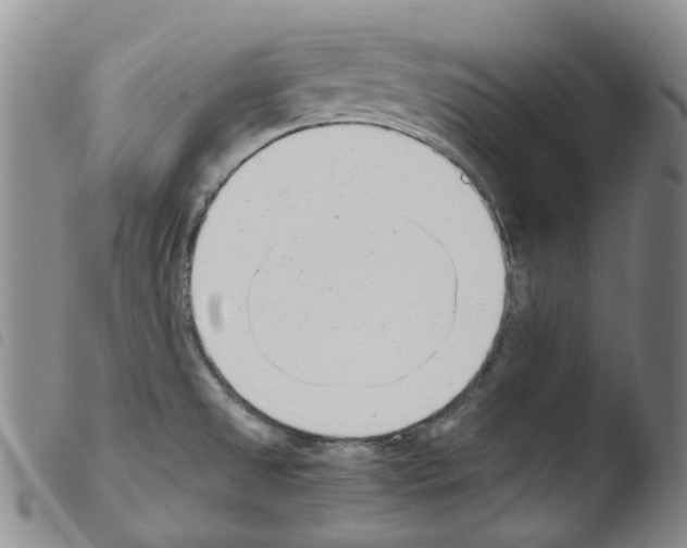 X0000103501525200810241113