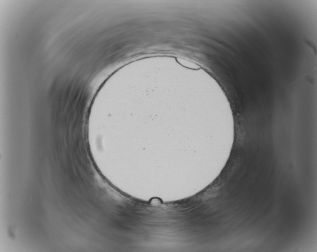 X0000103501527200810241113