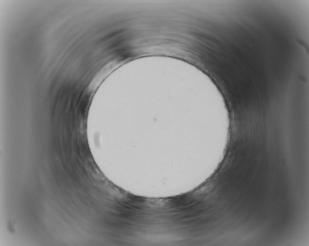 X0000103501529200810241113