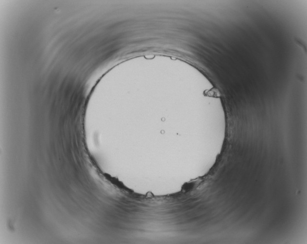 X0000103501530200810241113