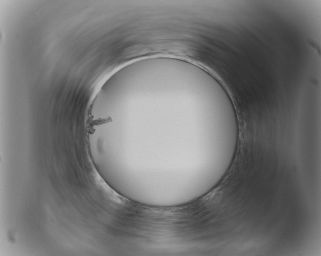 X0000103501532200810241113