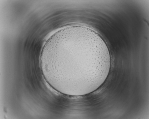 X0000103501535200810241113