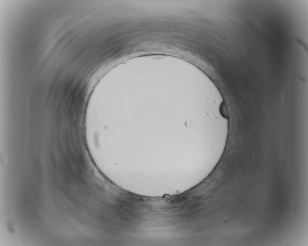 X0000103501536200810241113