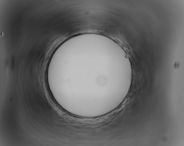 X0000103900001200809191106