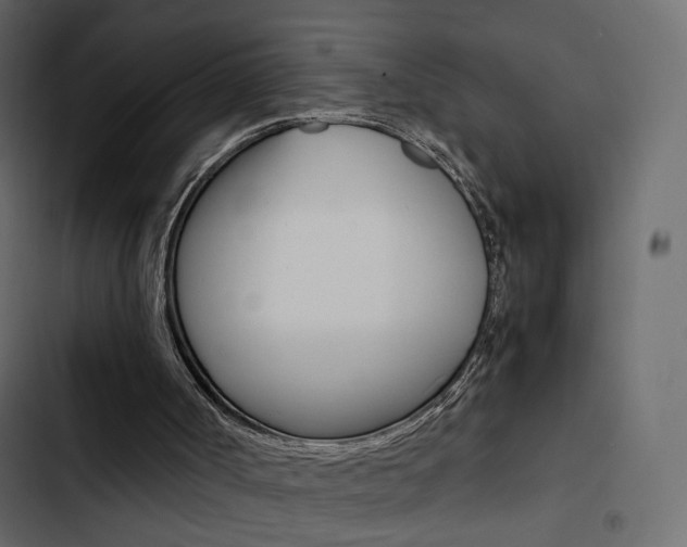 X0000103900002200809191106