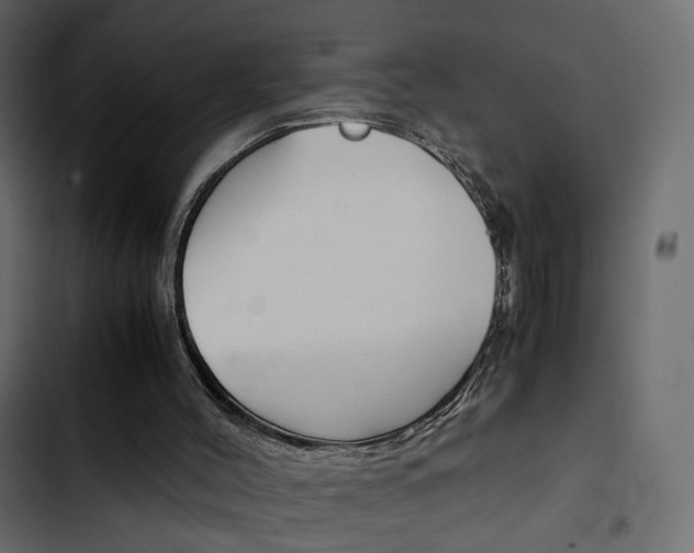 X0000103900004200809191106
