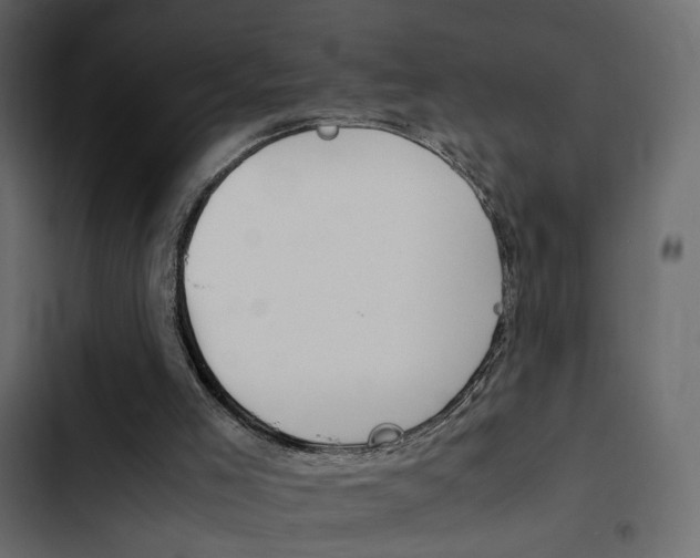 X0000103900005200809191106