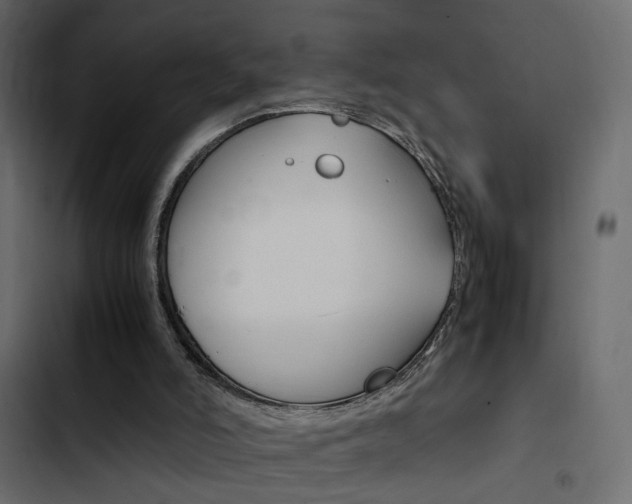 X0000103900006200809191106