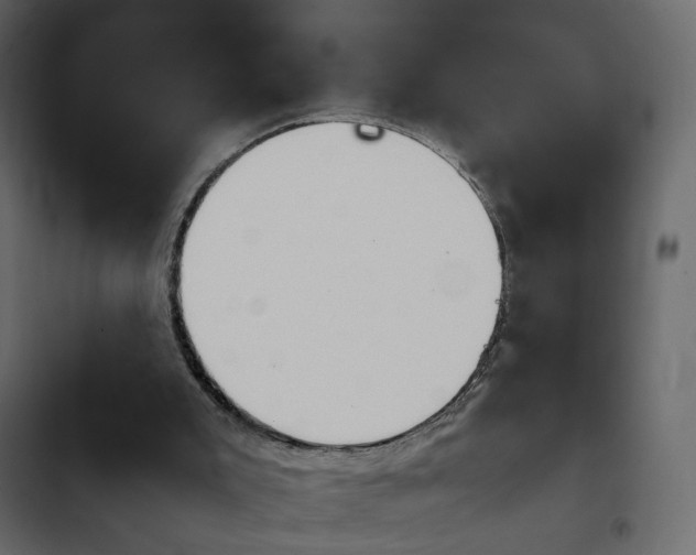 X0000103900007200809191106