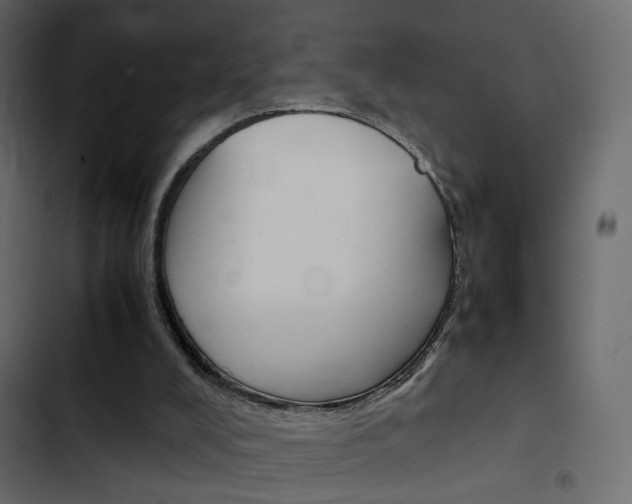 X0000103900008200809191106