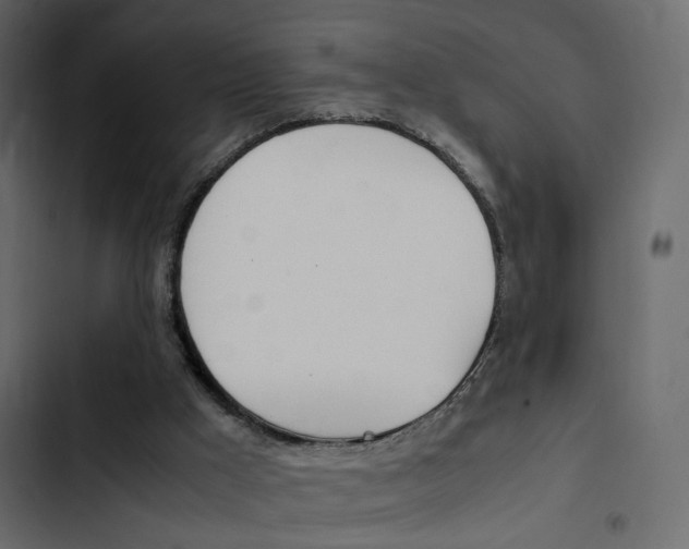 X0000103900009200809191106
