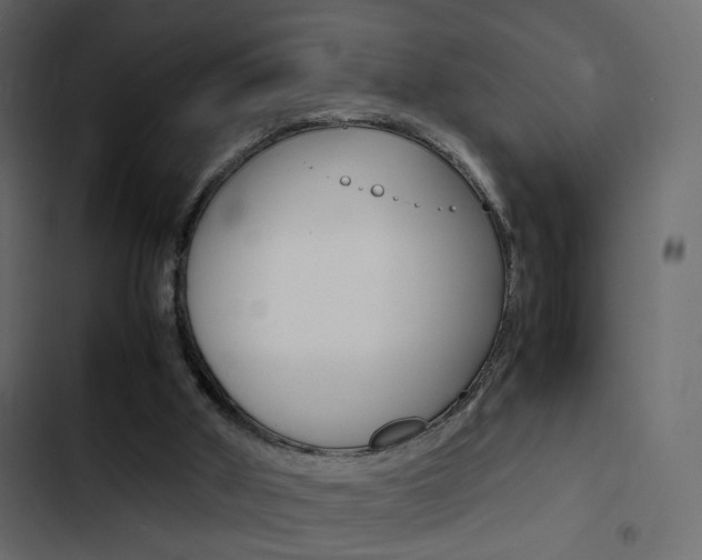 X0000103900010200809191106