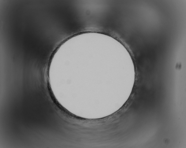 X0000103900011200809191106