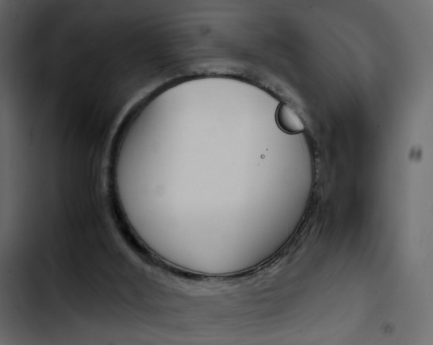 X0000103900012200809191106
