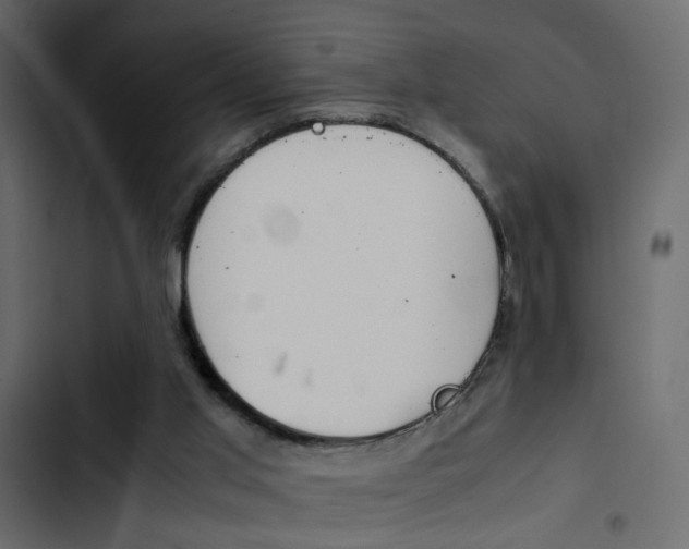X0000103900013200809191106