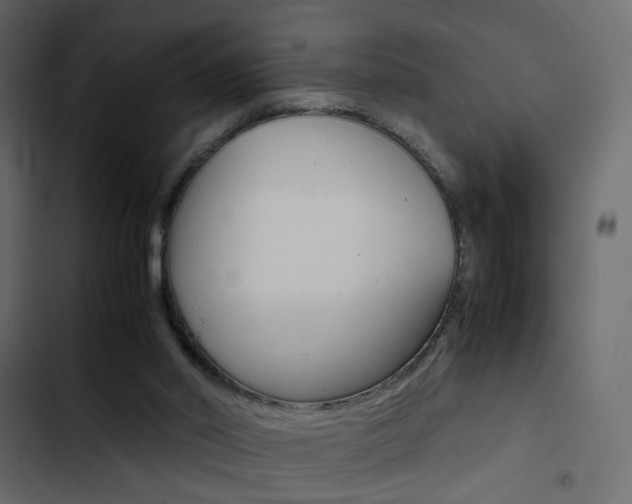 X0000103900014200809191106