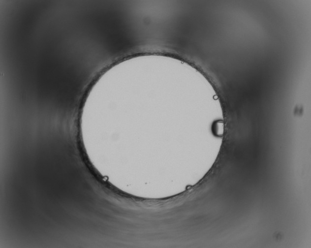 X0000103900015200809191106