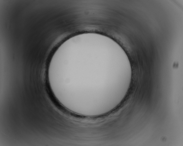 X0000103900016200809191106