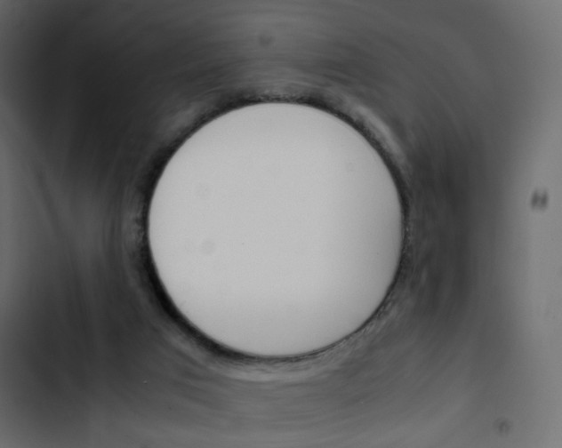 X0000103900017200809191106