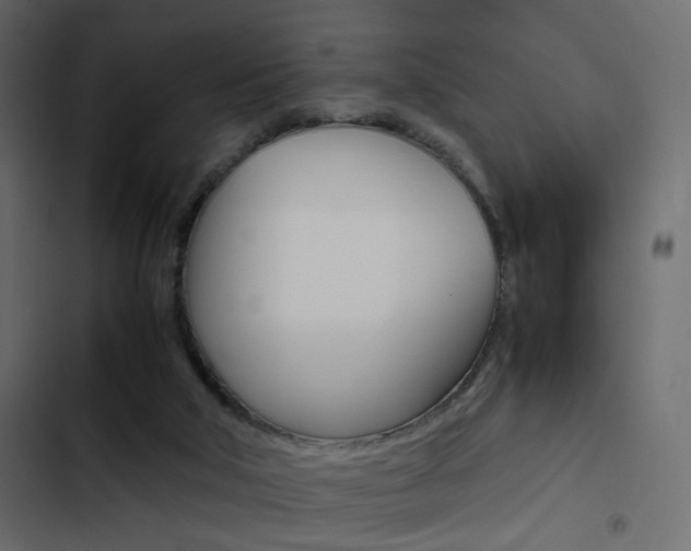 X0000103900018200809191106