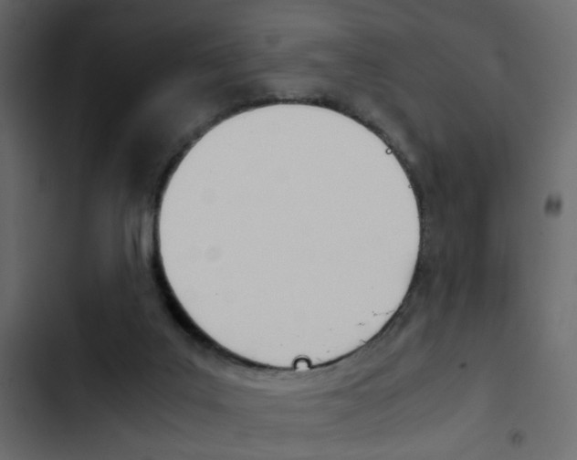 X0000103900019200809191106