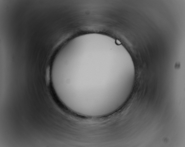 X0000103900020200809191106