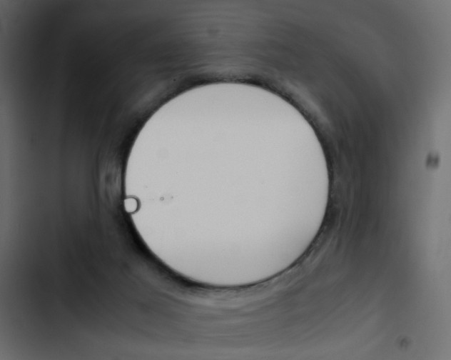 X0000103900021200809191106