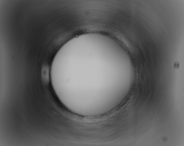 X0000103900022200809191106