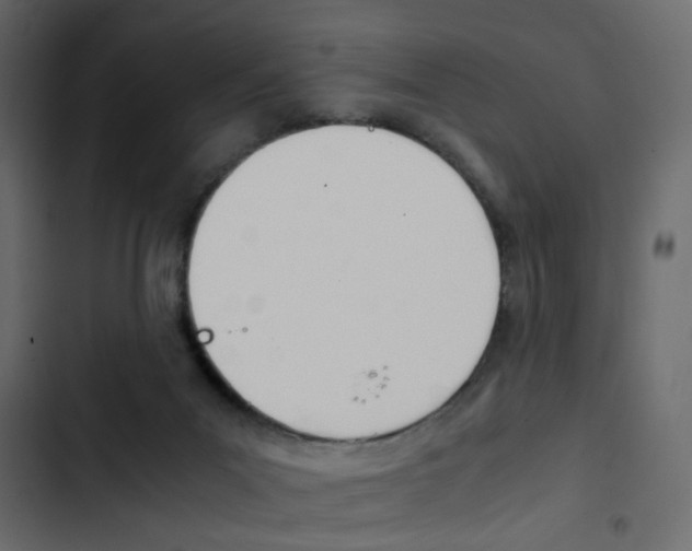 X0000103900023200809191106