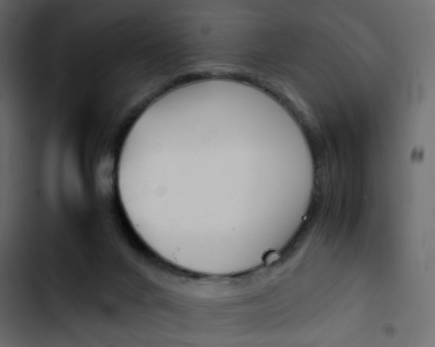 X0000103900024200809191106