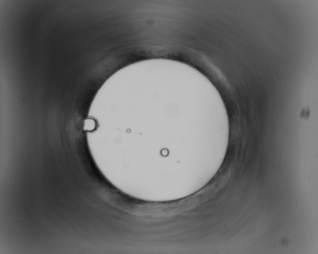 X0000103900025200809191106