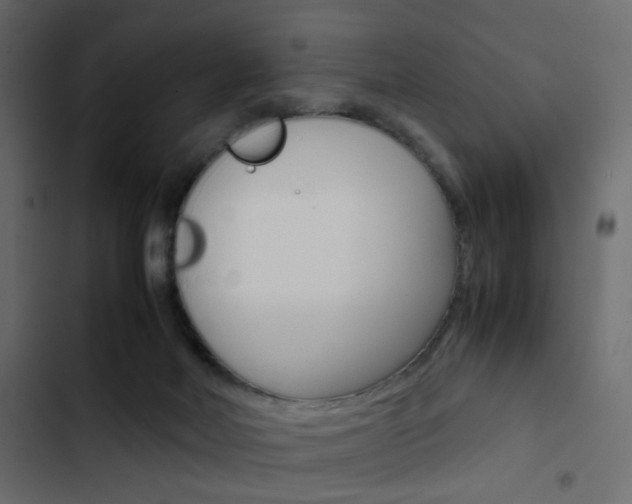 X0000103900026200809191106