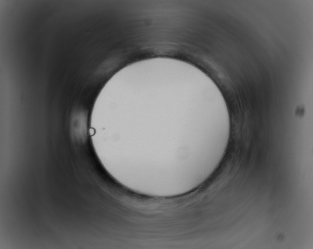 X0000103900028200809191106