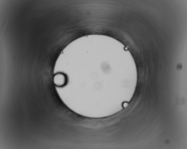 X0000103900029200809191106