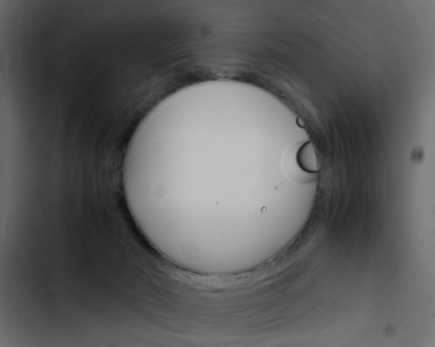 X0000103900030200809191106